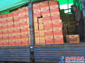 王师傅装卸服务队 专业装卸与保洁服务一体化解决方案